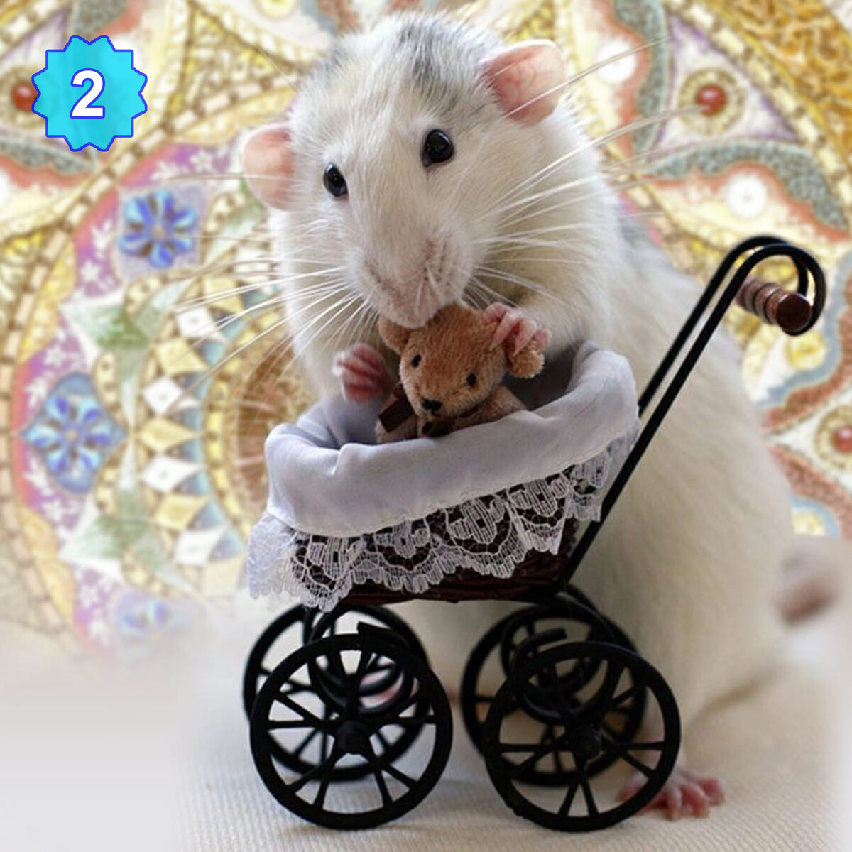 крысята оркестр. крысомания. крысы танцуют. мышка с музыкальным инструментом. эллен ван дилен.