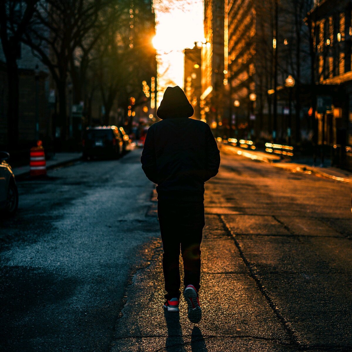 Фото Яндекс картинки