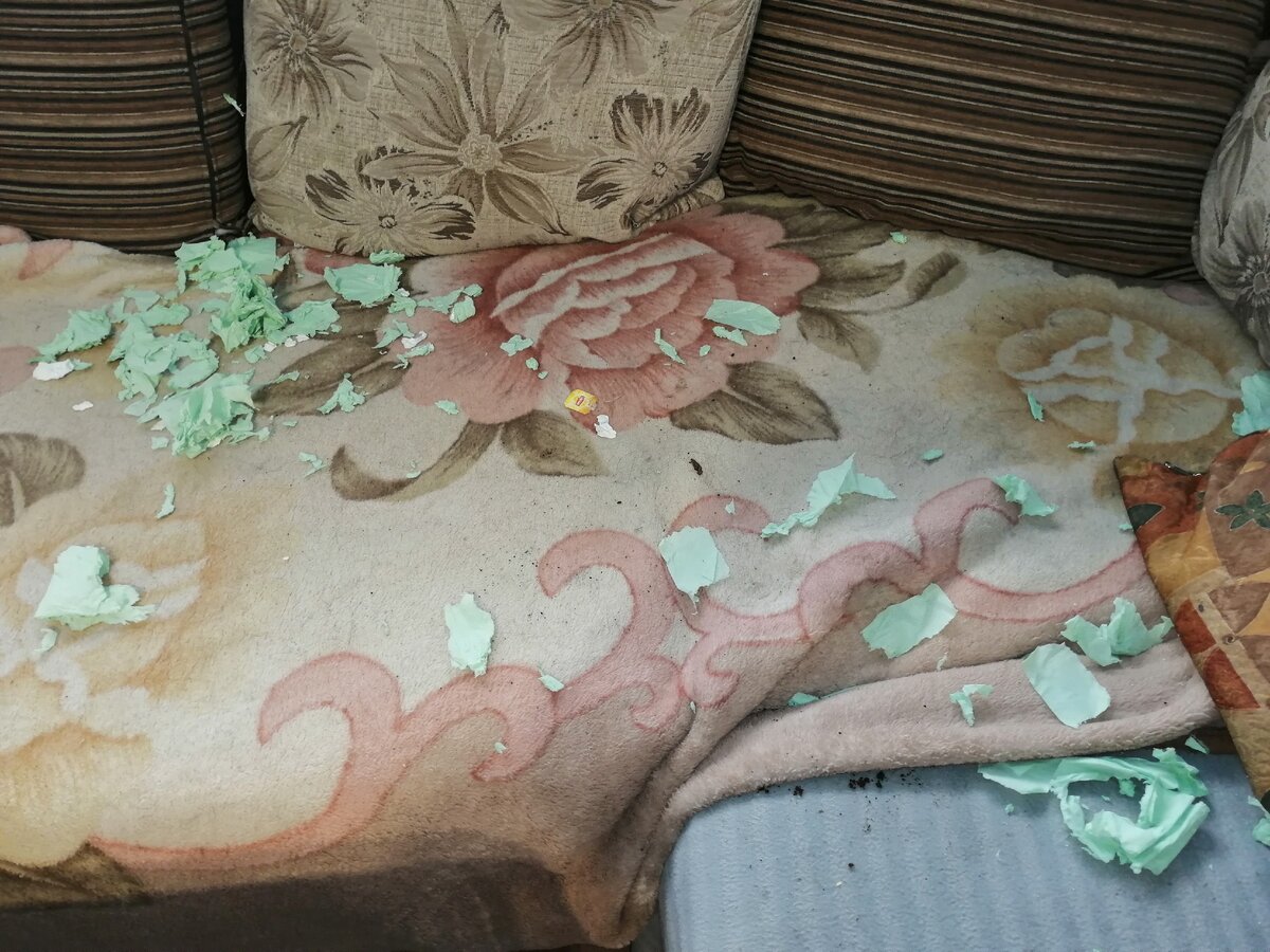 Вот такую картину мы увидели вчерашним утром