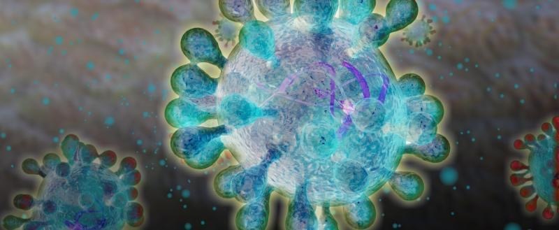 Короновирус имеет такое название, в связи с тем что обладает короновидной формой 