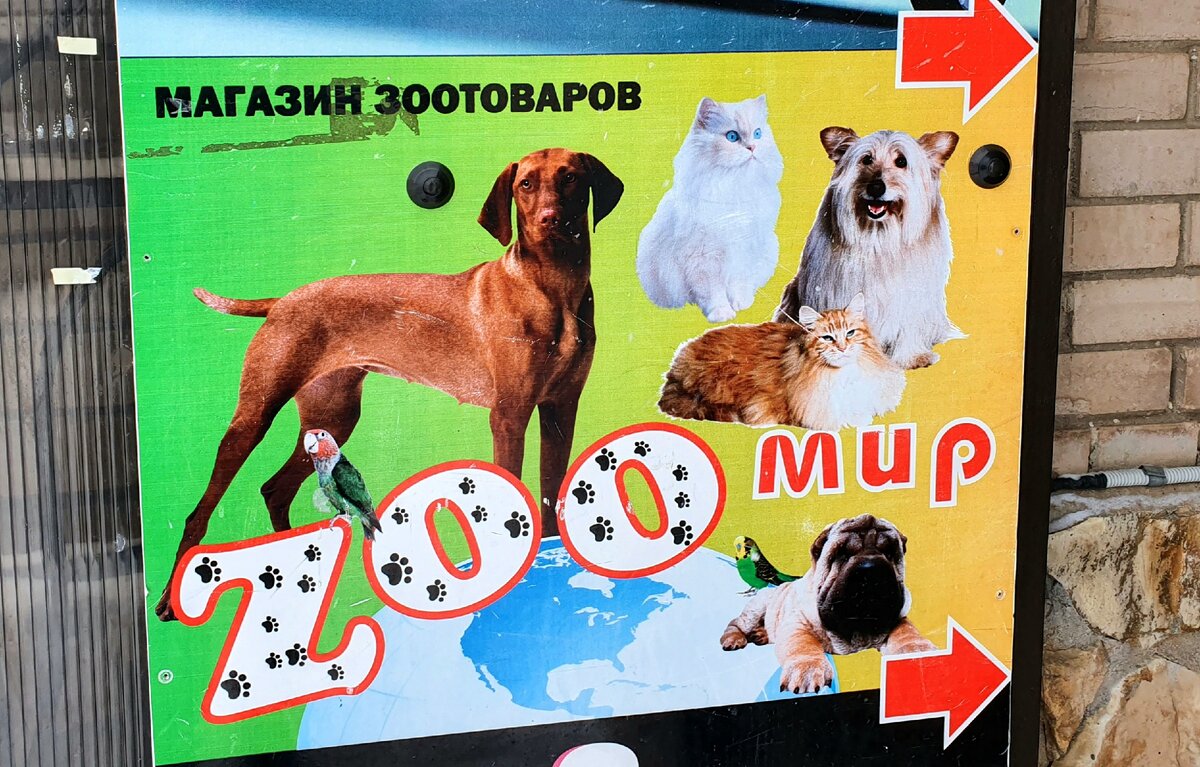 сколько зоомагазинов. зоомагазин георгиевск пес и кот. магазин кот и пес георгиевск. зоомагазин левый берег. сколько зоомагазинов.