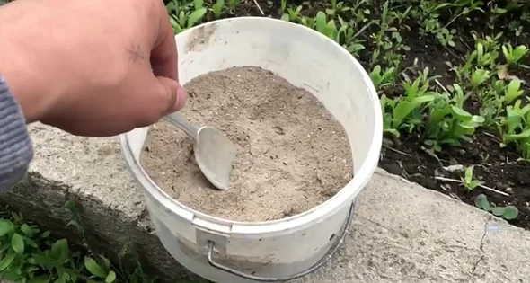 Древесная зола