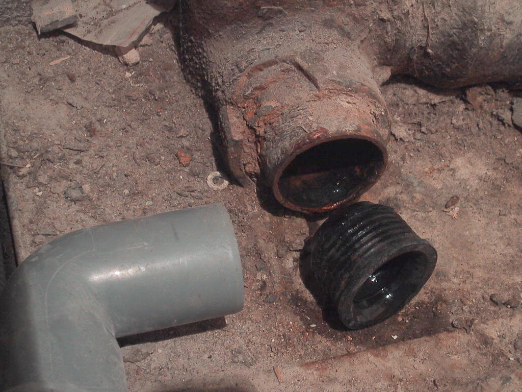 Изображение: Яндекс. Картинки