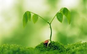 Сформировав привычку быть в радости, вы сможете в считанные секунды погружаться в такие состояния бытия…