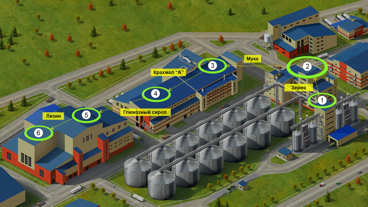 Рисунок 1 – Технологическая цепочка производства лизина сульфата: 1 – элеватор; 2 – мельница;  3 - участок мокрого процесса; 4 - цех осахаривания; 5 - цех лизина; 6 - зона сушки и упаковки.