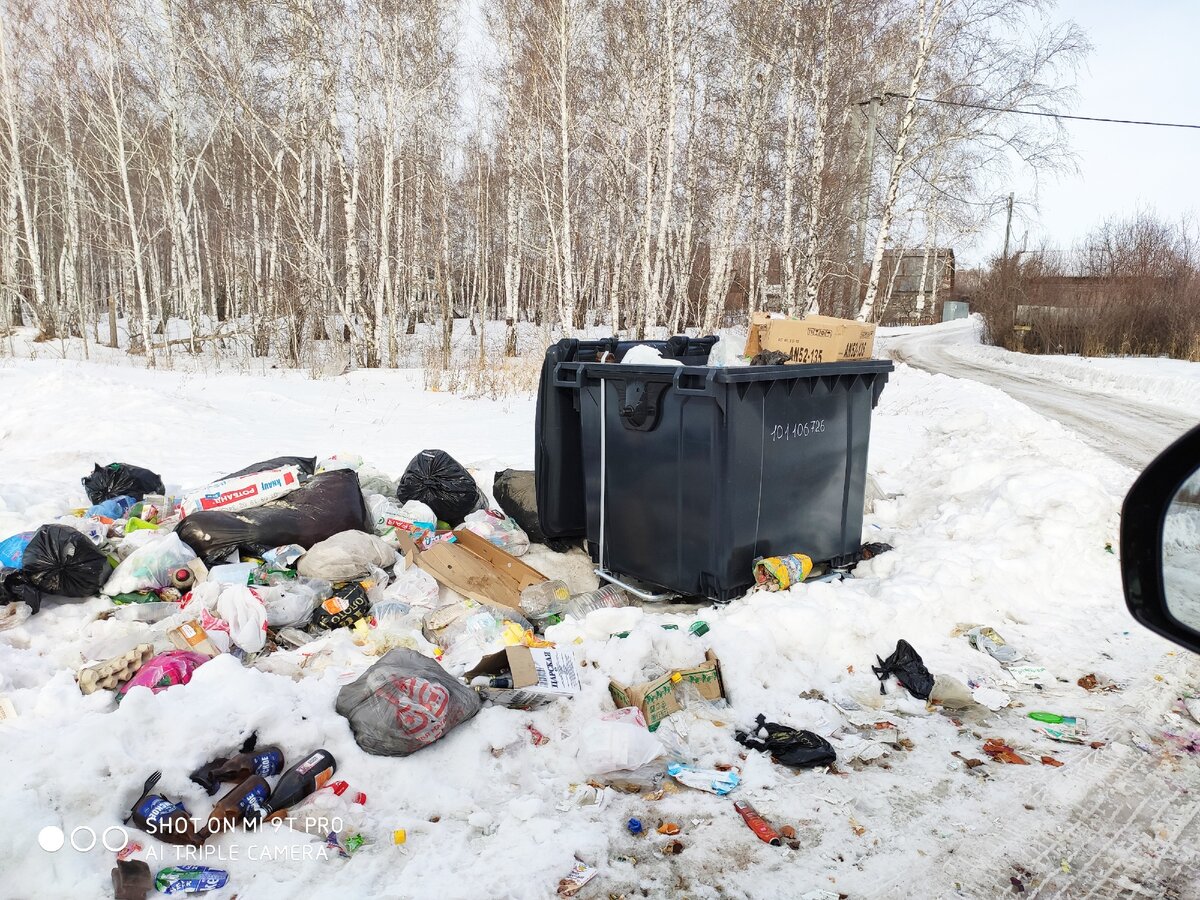 Мусорные контейнеры на въезде в сад