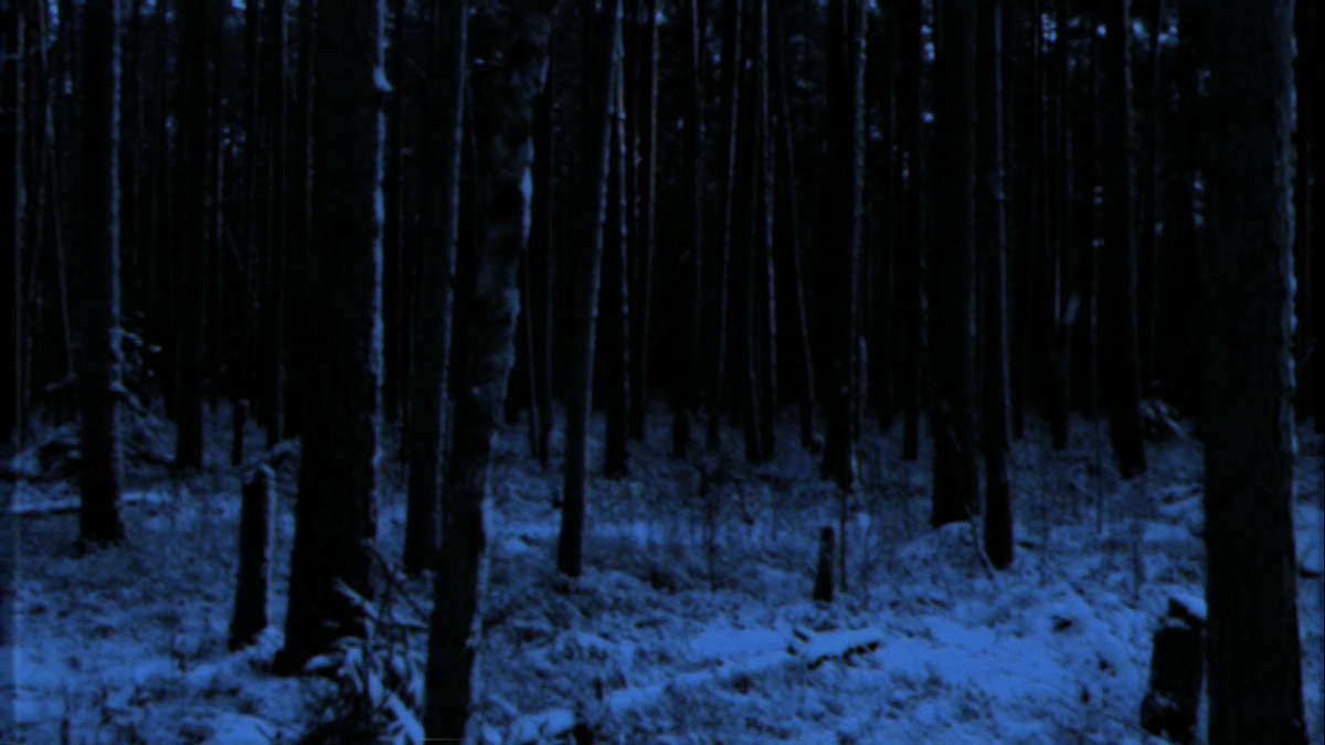 Это, кстати, кадр с грядущего видео к "сказочной версии" Декабря - последней композиции мини-альбома.