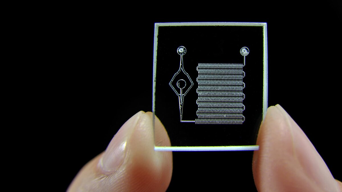 Лаборатория на чипе Lab on a Chip