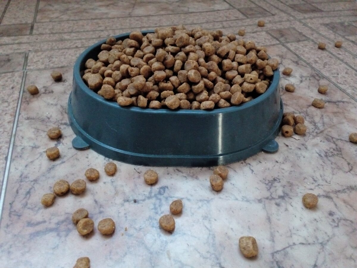 Авторское фото.  Кошачий корм с горкой.