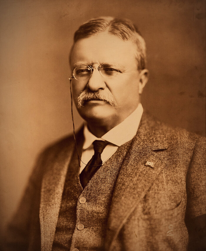 Теодор Рузвельт — 26-й президент США (1901-1909)