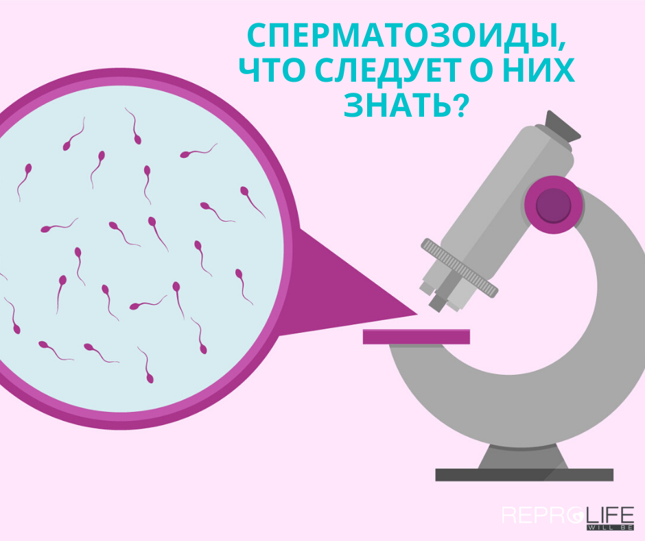 «Польза спермы для женского организма – это миф»: интервью с андрологом - albatrostag.ru