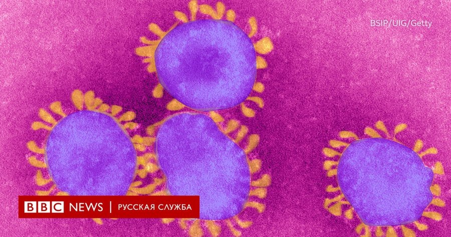 2. CoV – сокращение от CoronaVirus, коронавирус. Так называется семейство вирусов (всего их около 40), которые внешне напоминают солнечную корону из-за шиповидных отростков.
82
