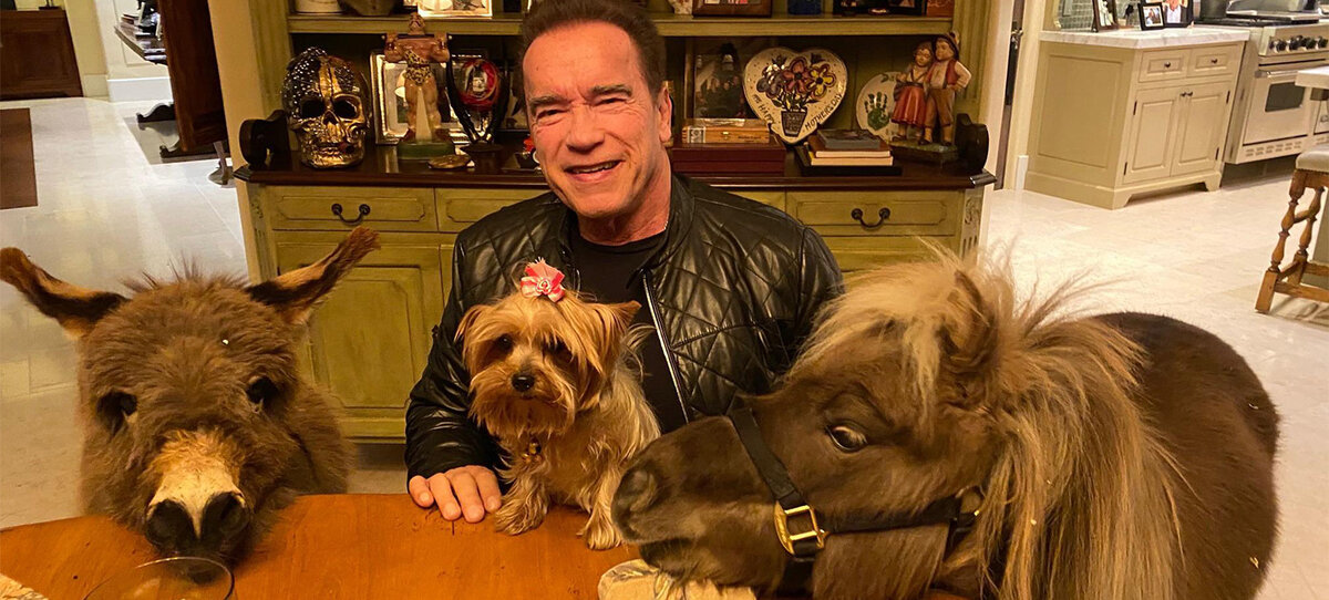 Фото со страницы в Инстаграм @schwarzenegger.