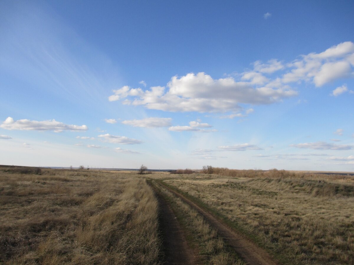 Зко алексеевка. Село Алексеевское Ростовская область. Алексеевка Донецкая область.