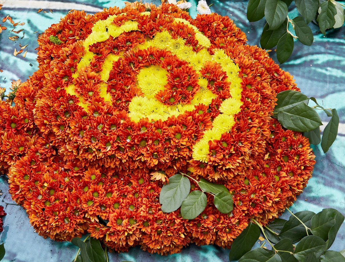 Флора 2018