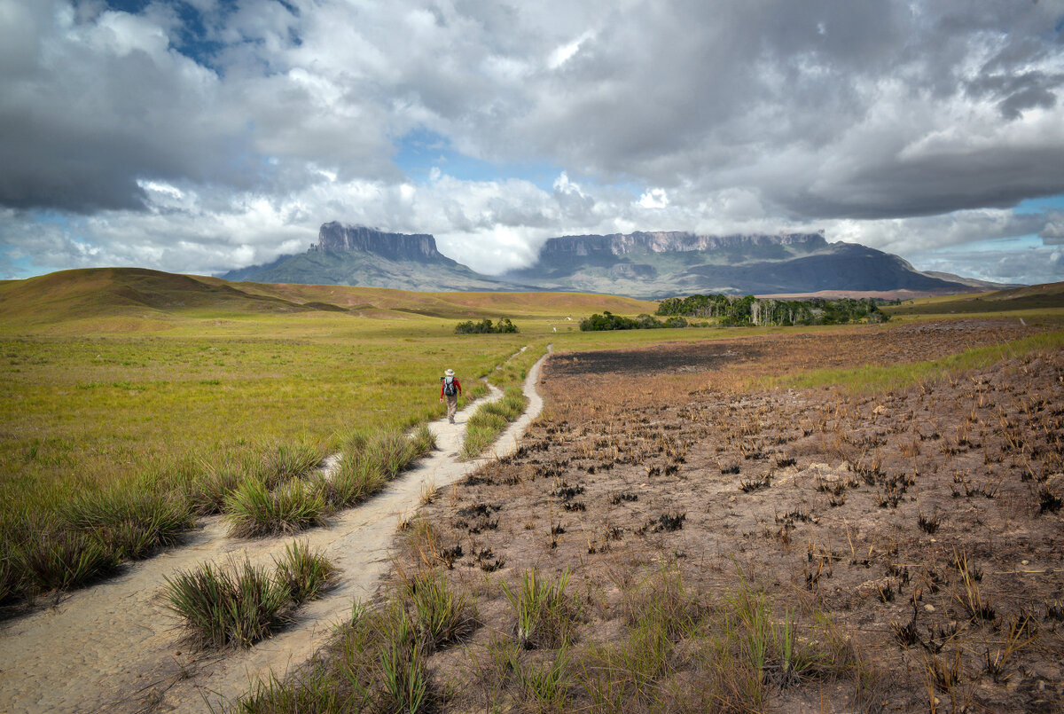 Дорога через саванну. Вдали виднеются тепуи Кукенан и Рорайма