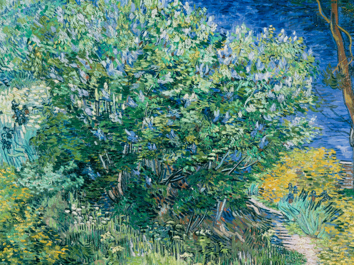 "Куст" или "Куст сирени". 1889 г. Холст, масло