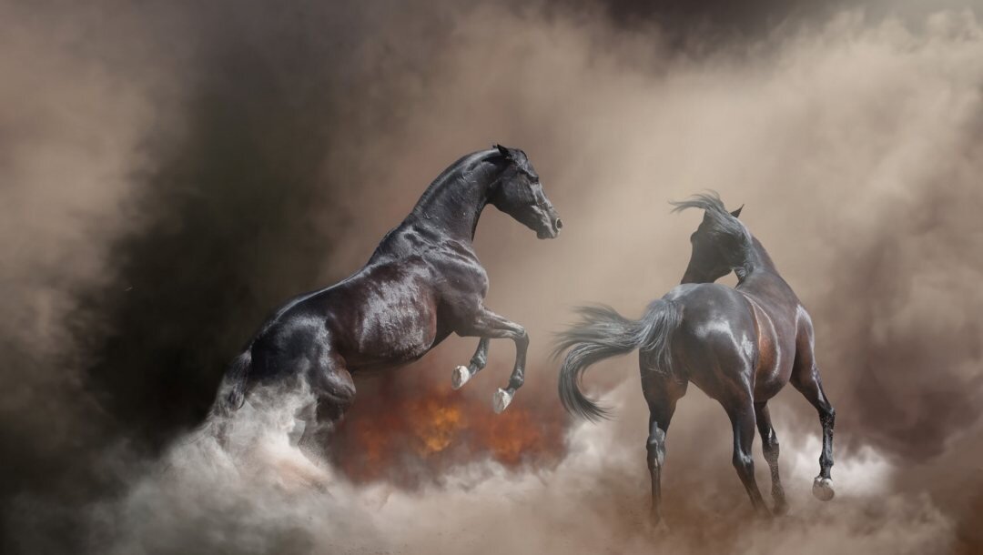 Картинка из свободного доступа в Интернете.