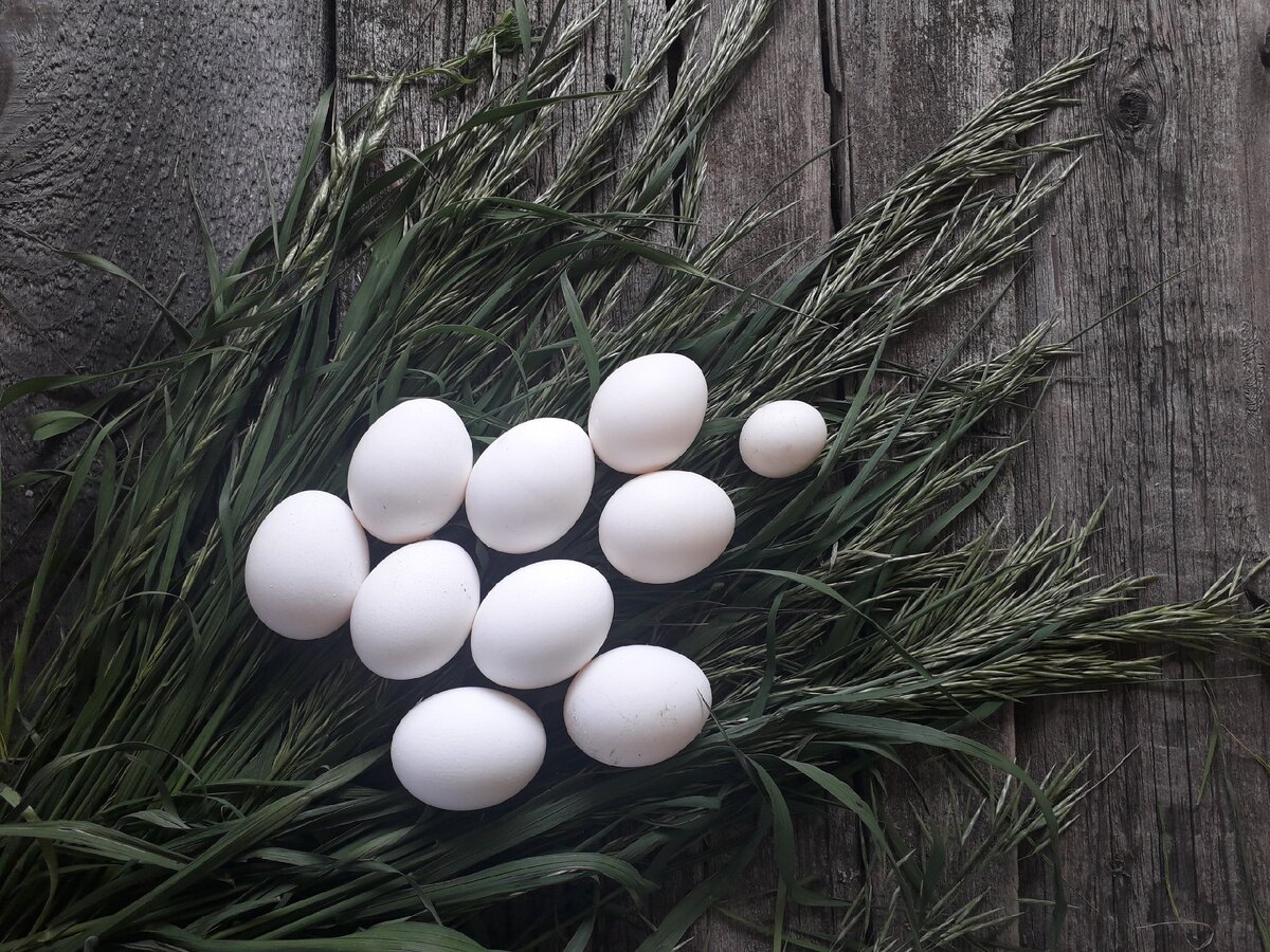 Деревенские яйца  в Самаре 