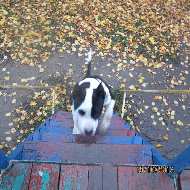 Каспер взбирается по лестнице.