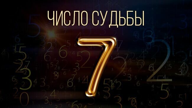 Число имени 7