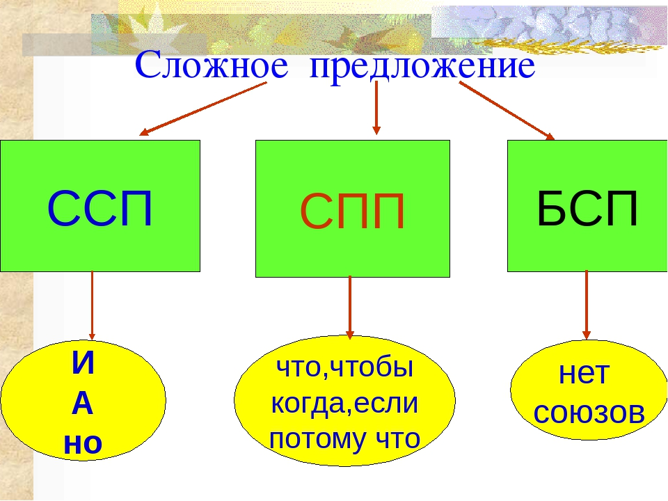 Составить 5 сложных. Предложения ССП СПП БСП. Сложные предложения ССП СПП БСП. СПП ССП БСП простое предложение. СПП ССП БСП таблица.