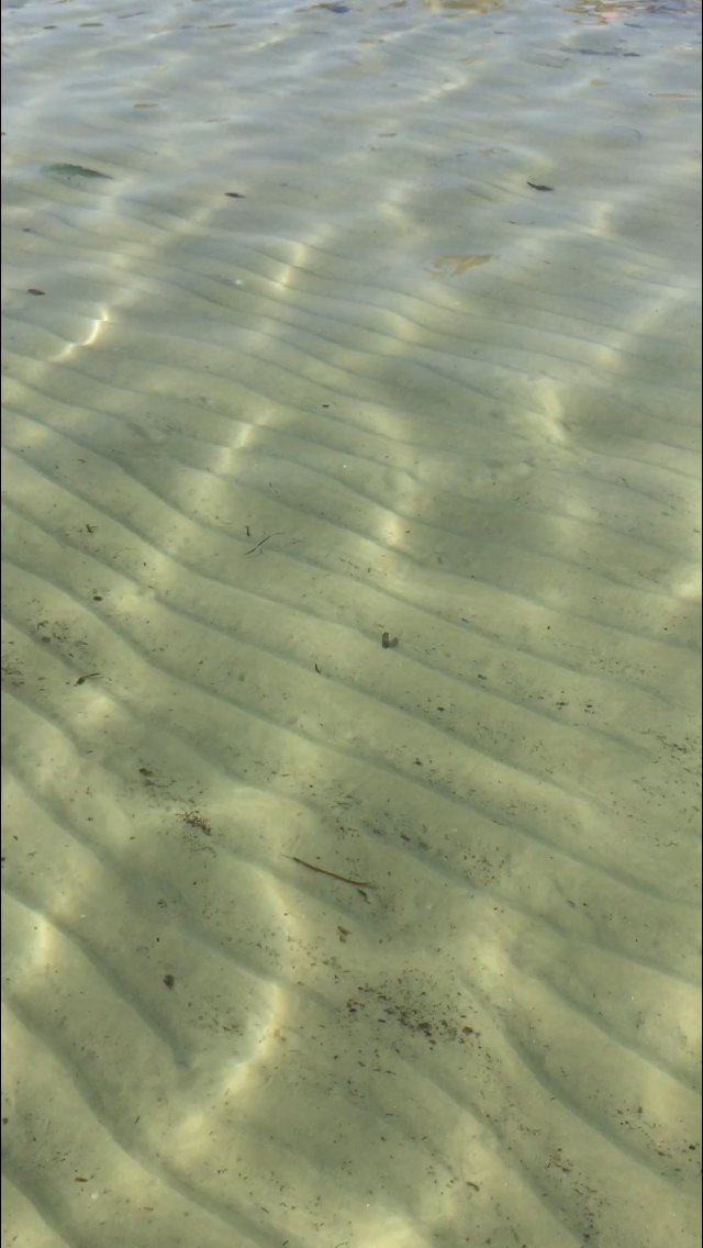 Прозрачная морская вода. Фото автора.