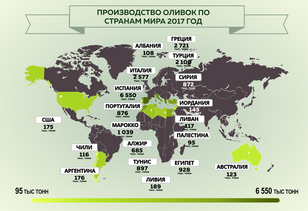 Какие страны являются основными. Страны Лидеры по производству оливы. Страны производители оливкового масла. Страны Лидеры по производству оливок в мире. Страны Лидеры производства оливки.