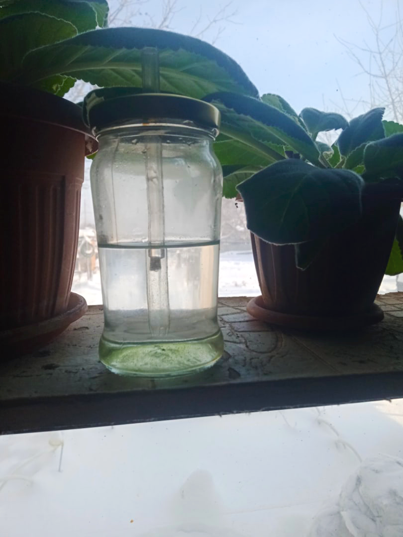 Самодельный предсказатель клёва.