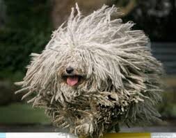 Изображение взято с сайта pravda.ru