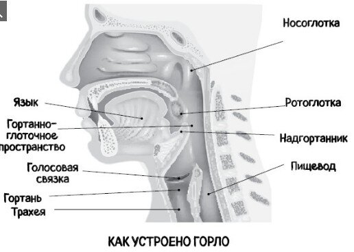 скриншот