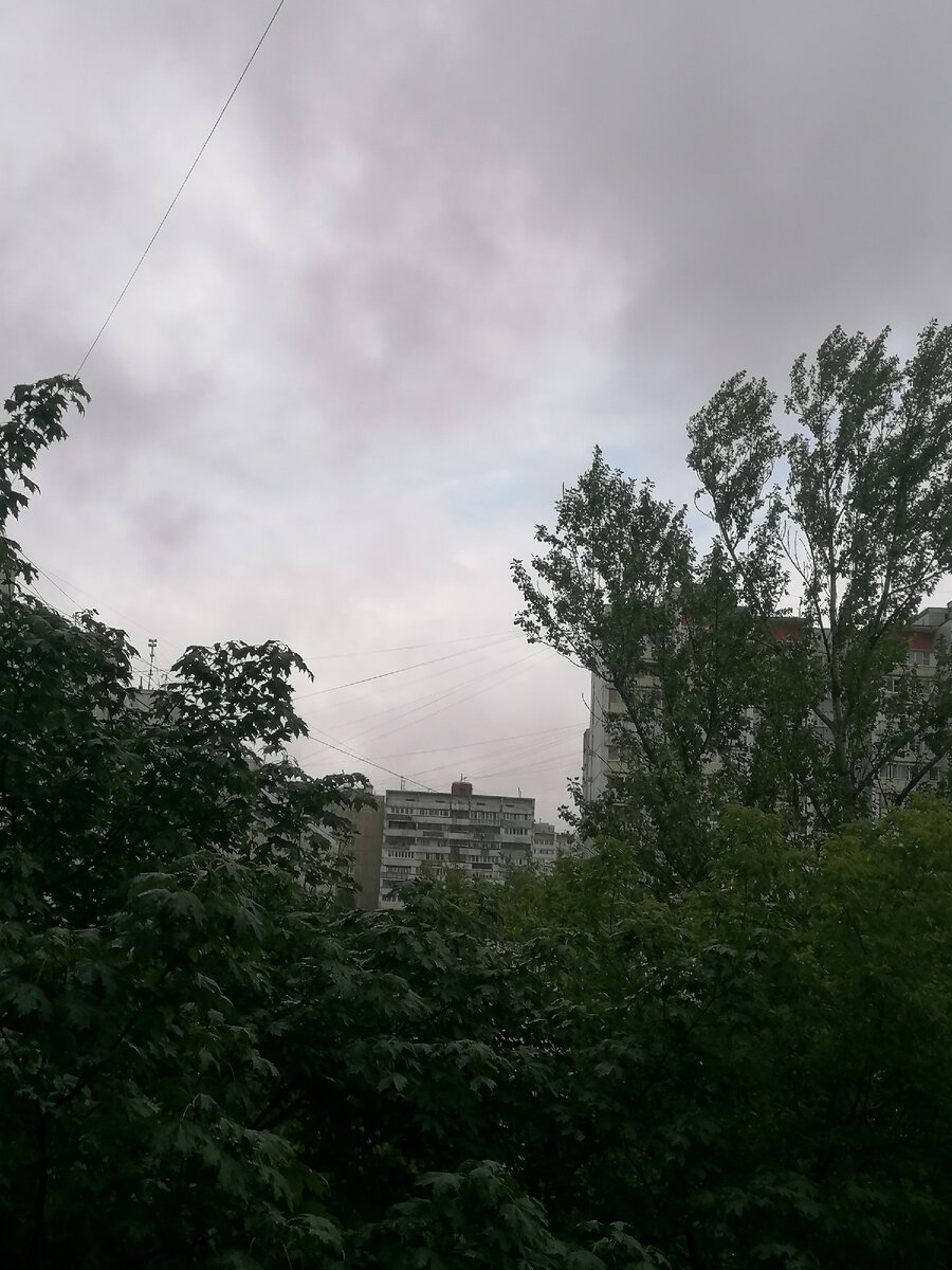 Хоть будет и тепло до вечера будет пасмурно и возможен дождь.