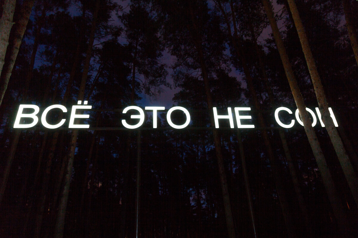 Тимофей Радя, "Всё это не сон"