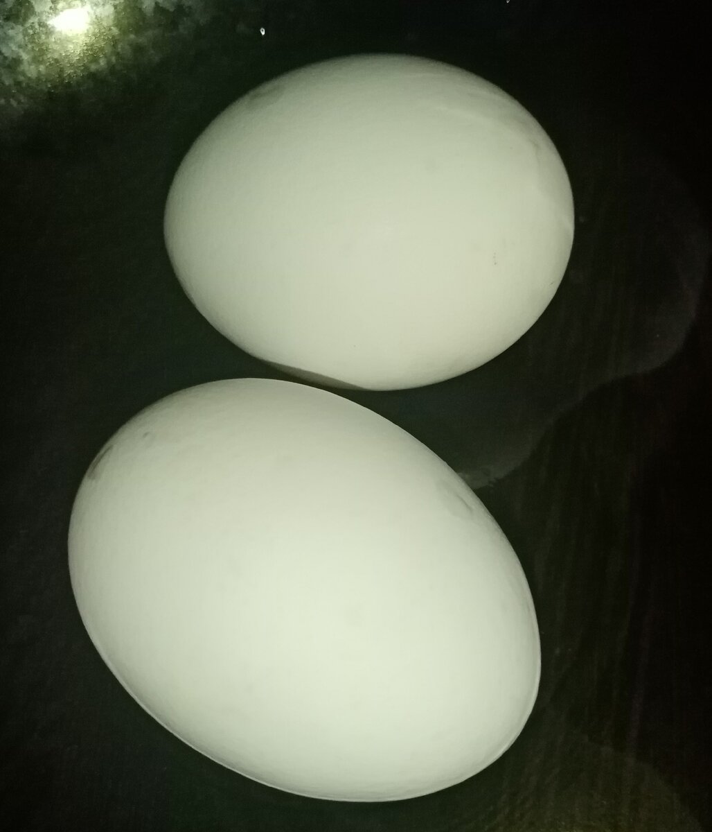 -1-3