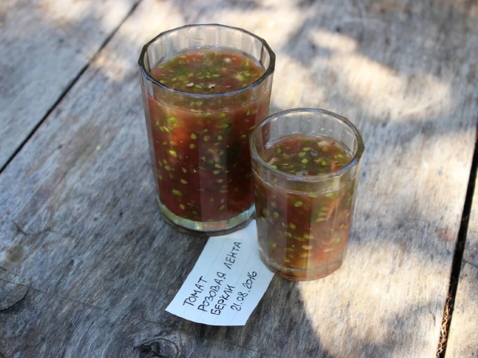 Фото: Алексей Володихин