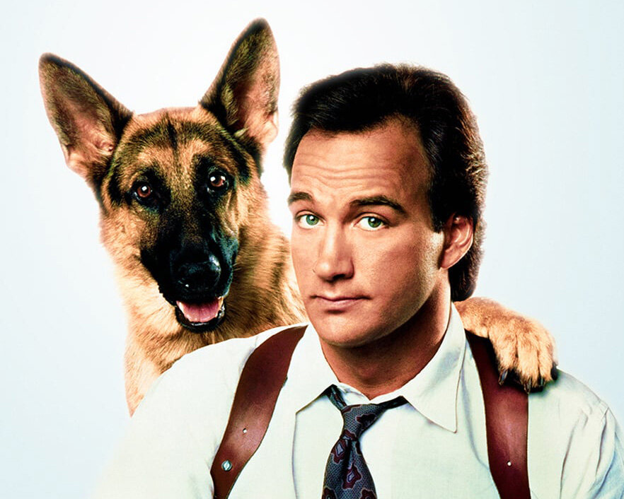 К-9: Собачья работа