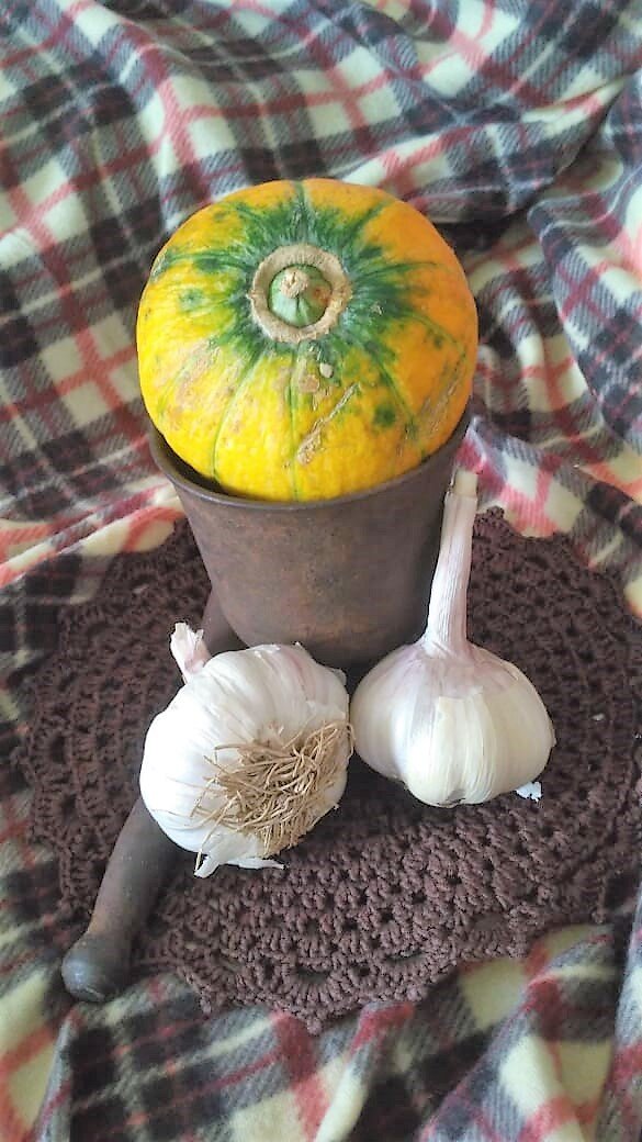 Ступка отлитая из чугуна, маленькая тыковка и крупные головки чеснока 
