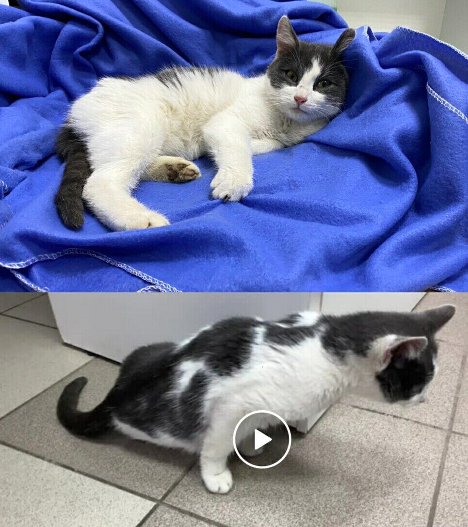 Смотрите видео в конце статьи