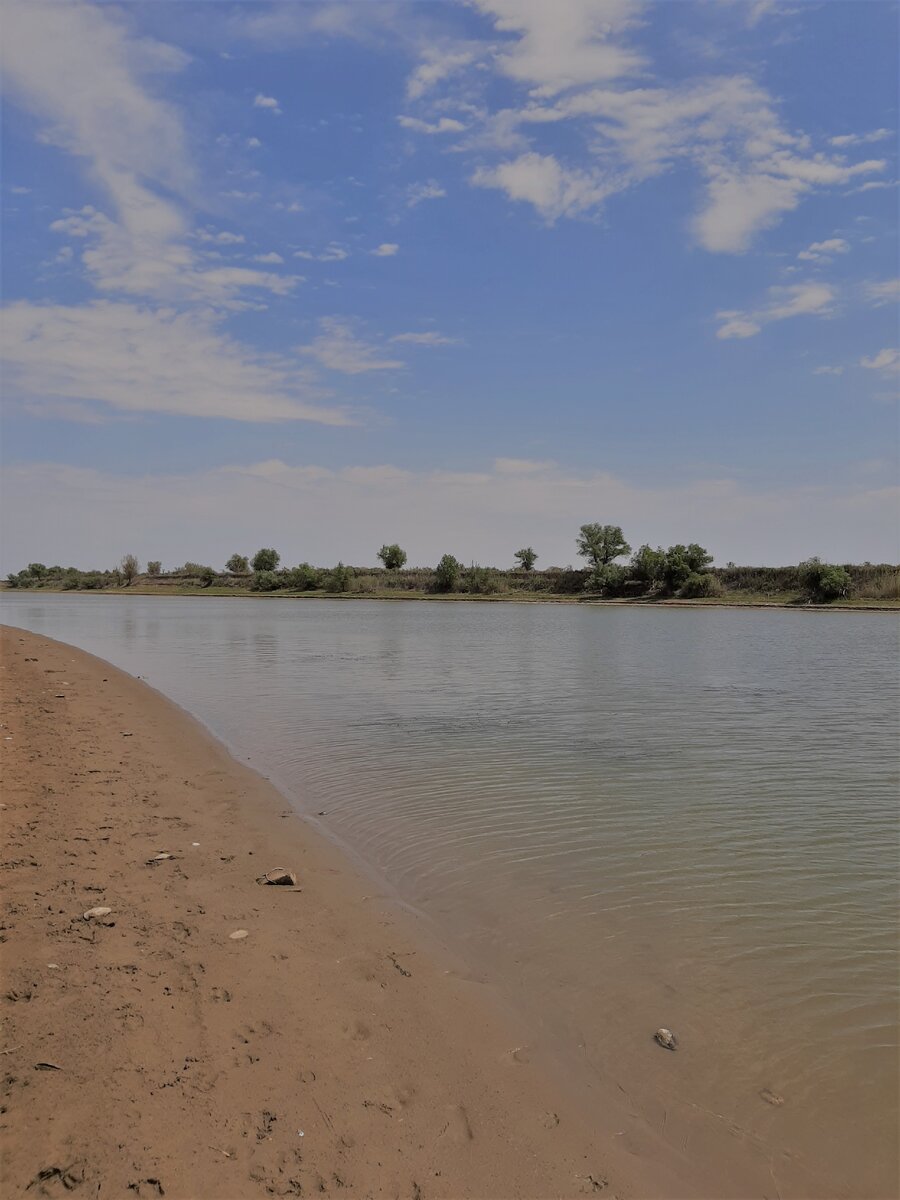 Фото из личного архива.