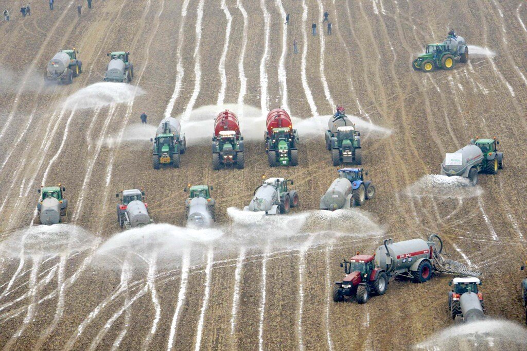 источник: Яндекс