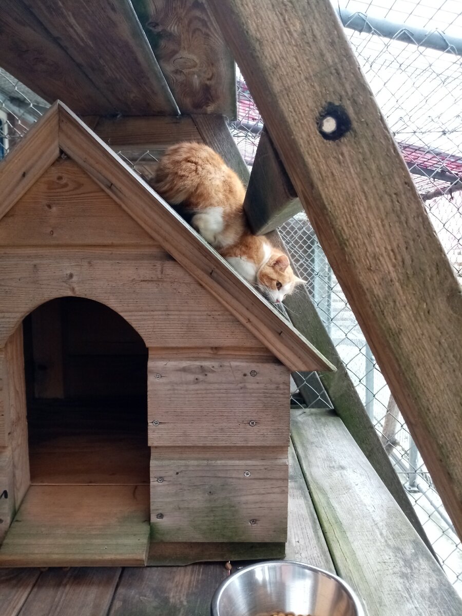 Нравится ей так спать !