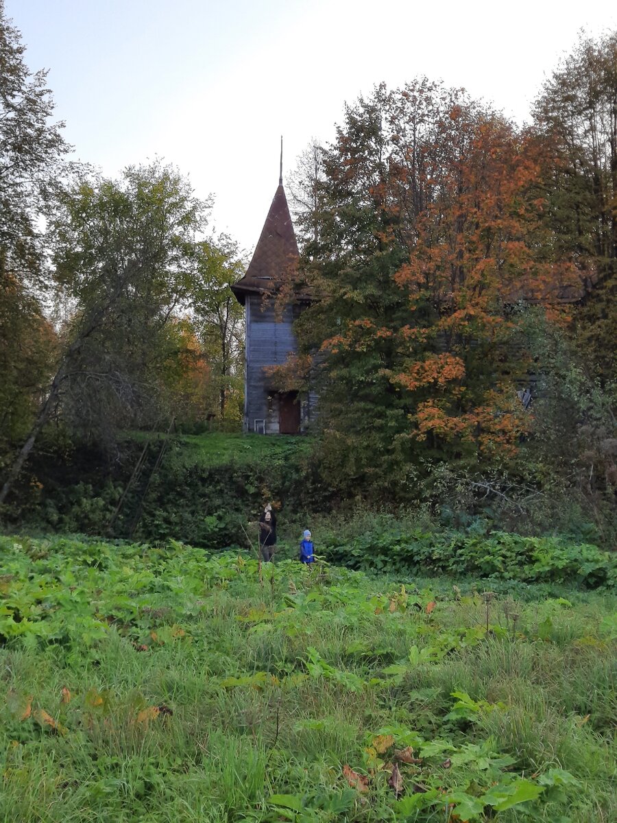 Вид с Ветлуги