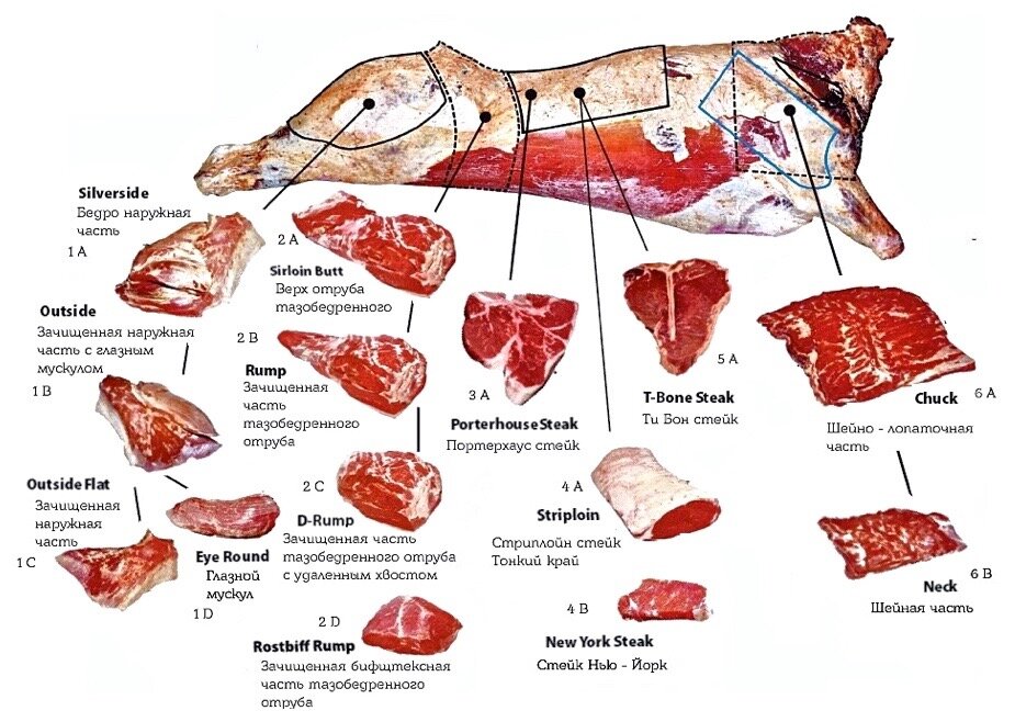 Вырезка говяжья схема туши