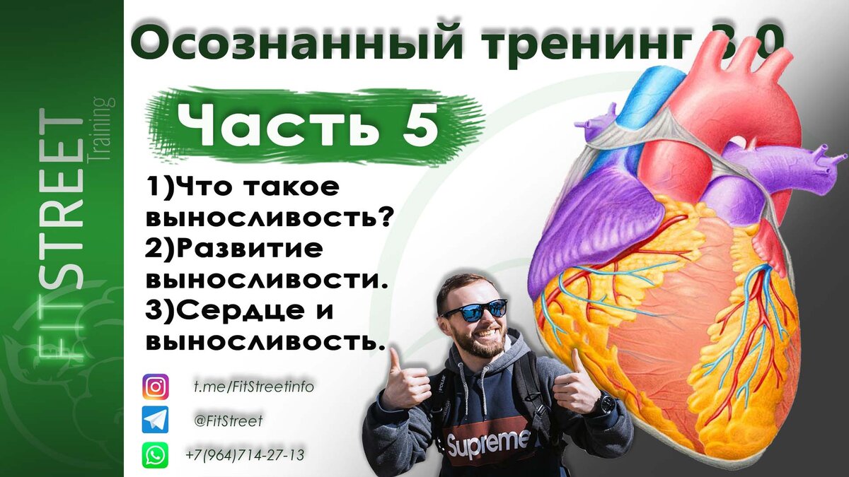 Тренинг 3