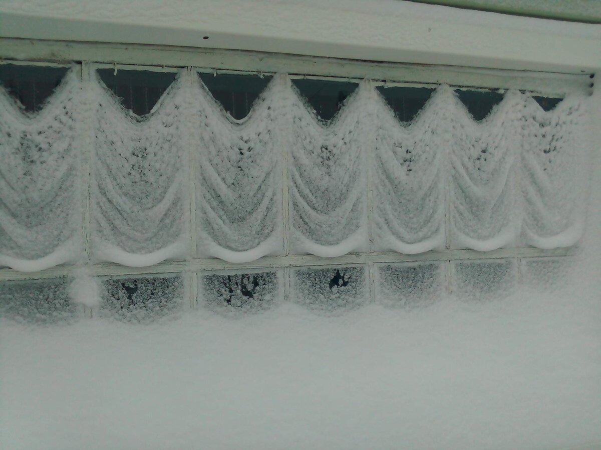 Французские шторы от матушки природы.