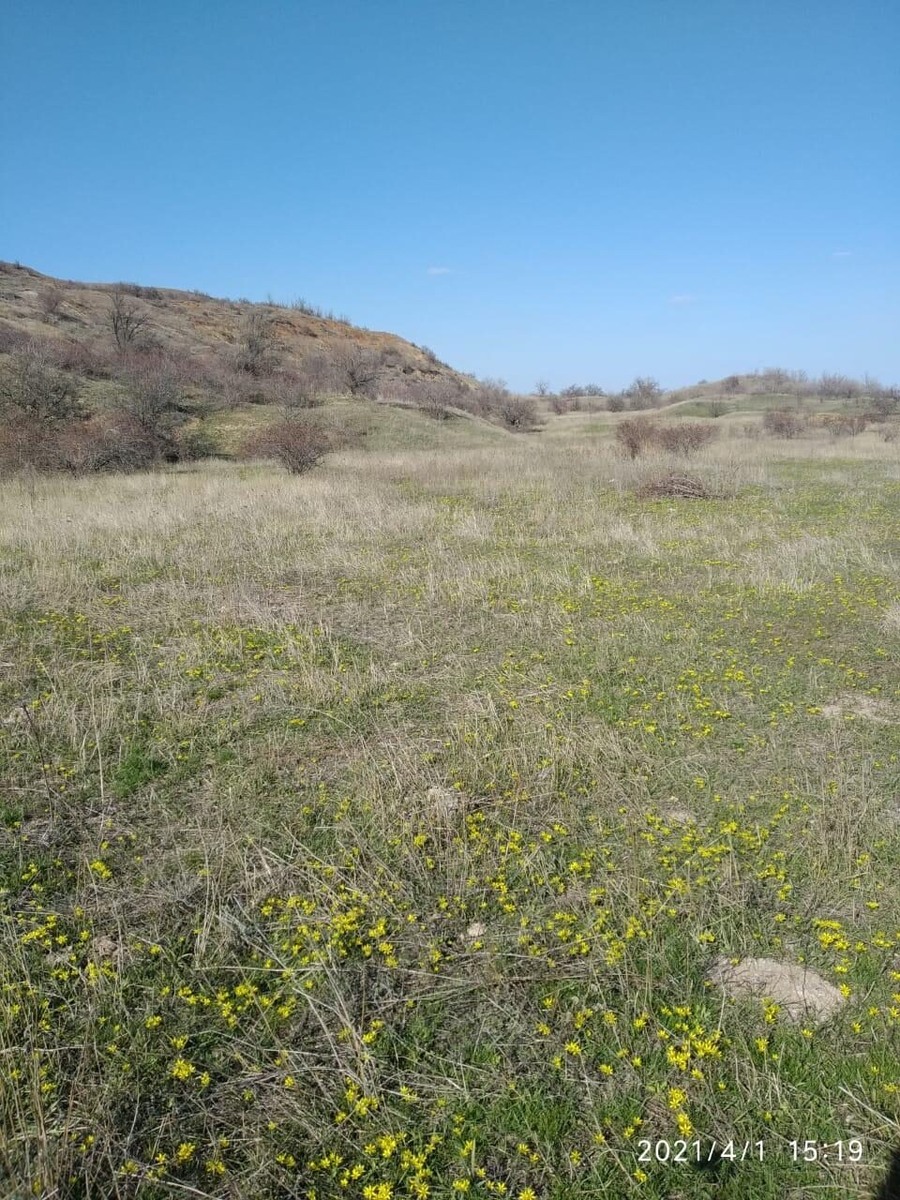 Фото из личного архива.