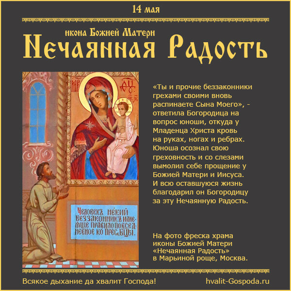 Нечаянная радость