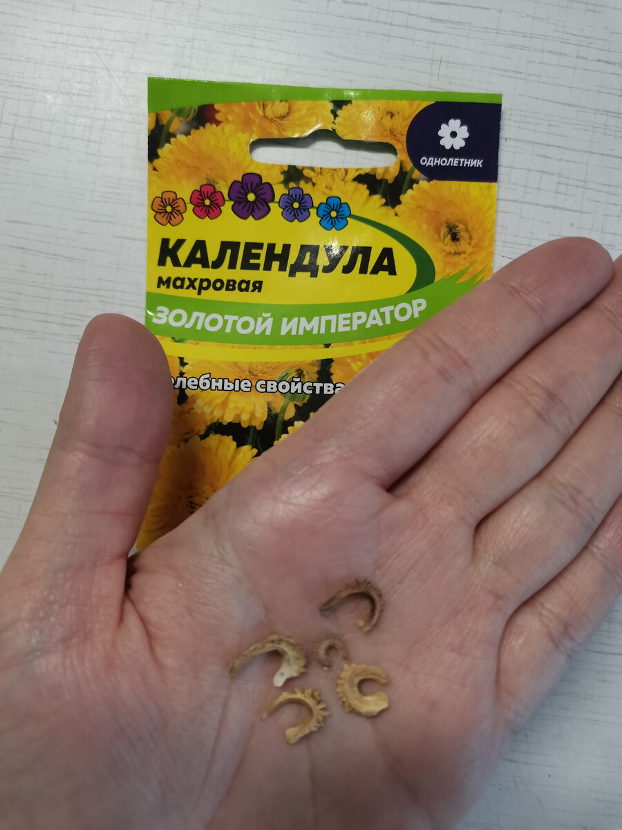 Календула Золотой император семена 