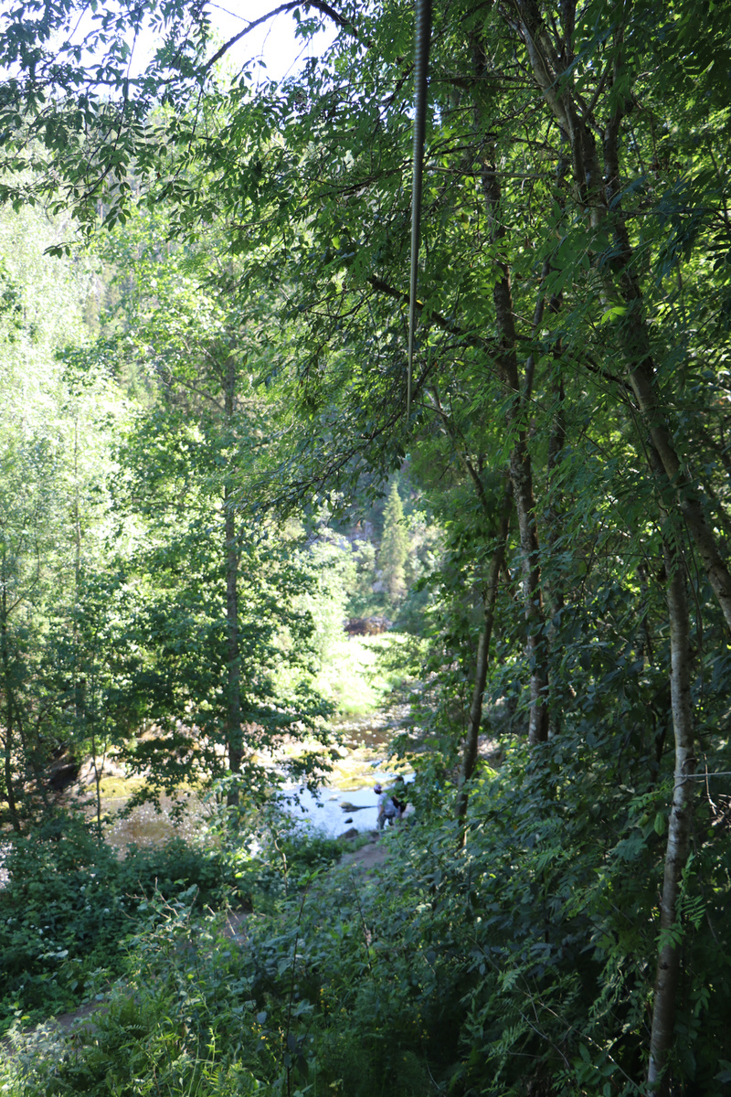 Зиплайн (троллей)