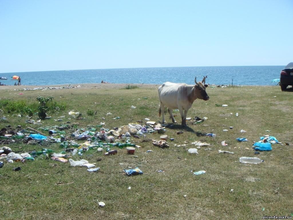 фото с просторов интернета